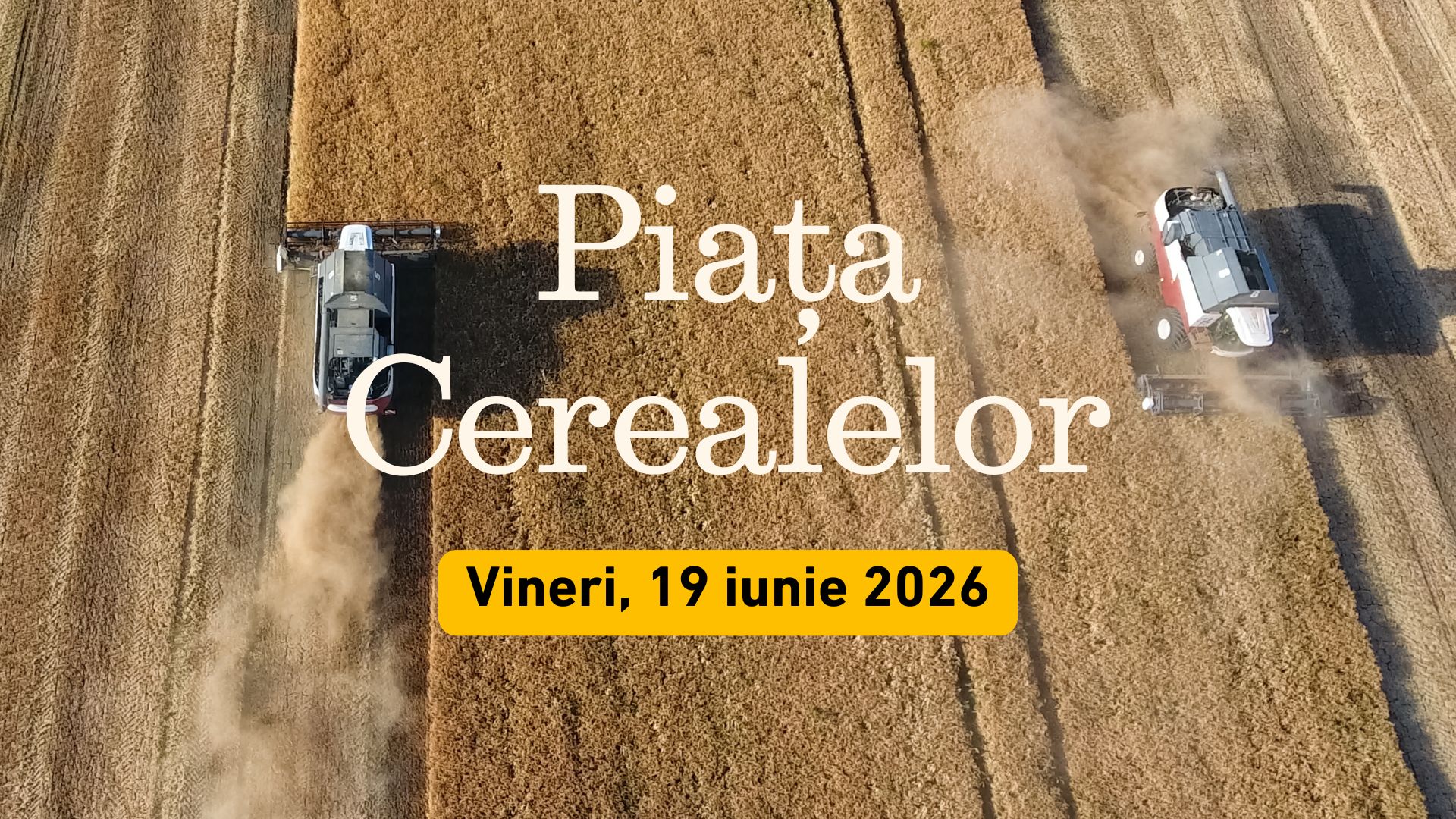 Analiza prețurilor la cereale - vineri, 19 iunie 2026