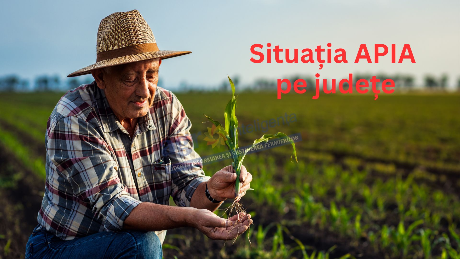 Situația APIA pe județe