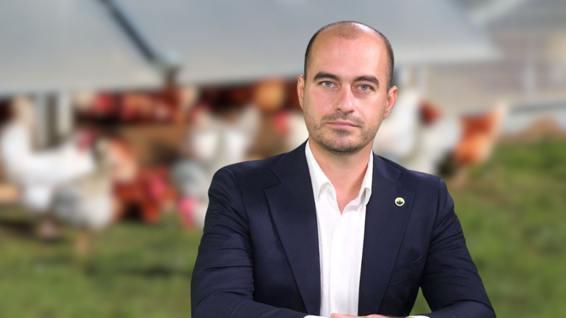 Ciprian Andrei Olteanu investește în creșterea găinilor ouătoare
