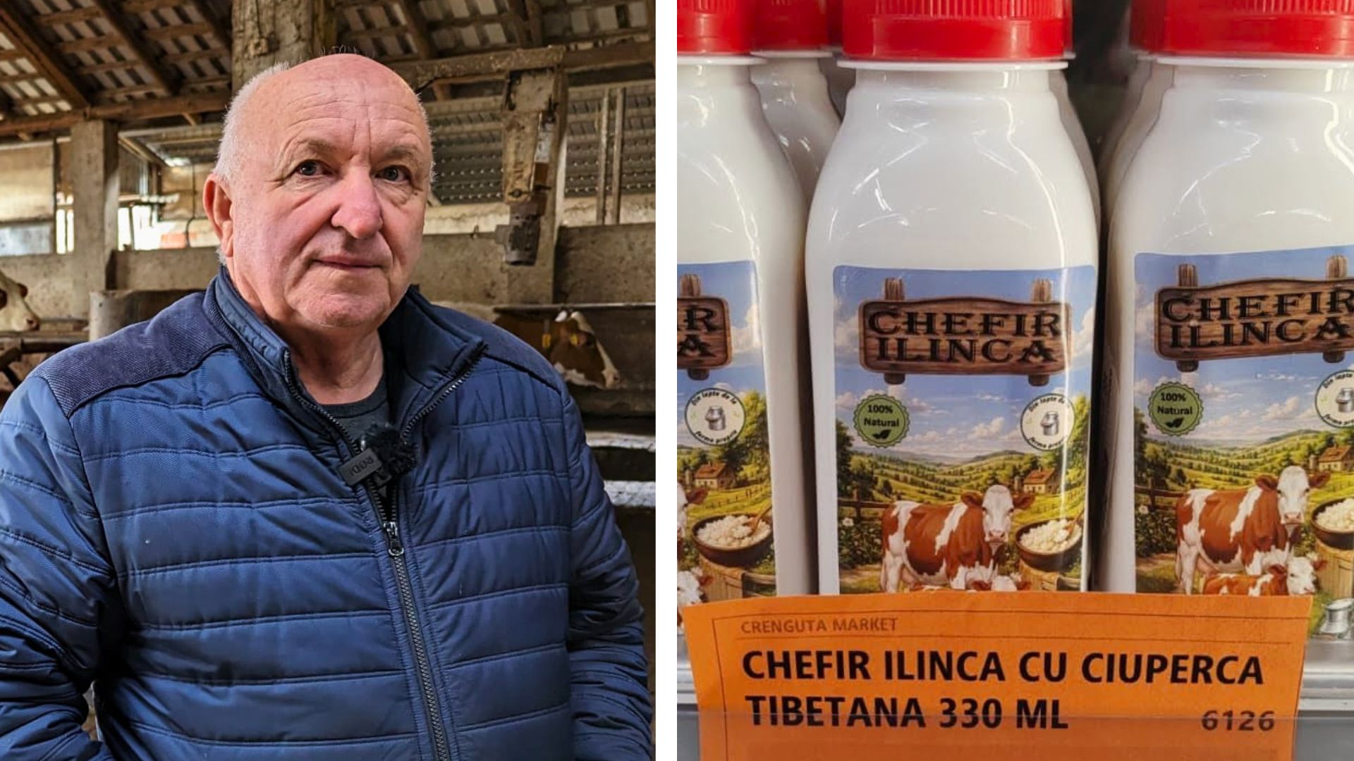 Fermierul Ilie Chifan a lansat chefirul cu ciuperca tibetană