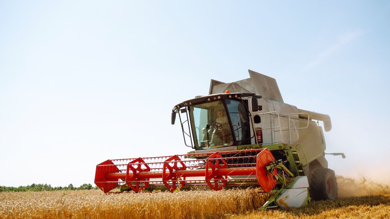 Schimbările climatice au afectat puternic fermierii din Germania