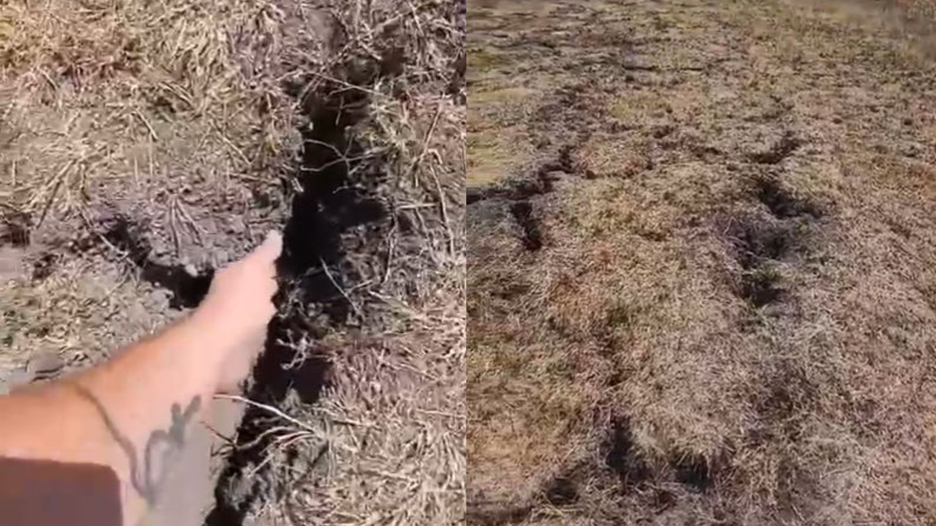 Secetă în județul Arad